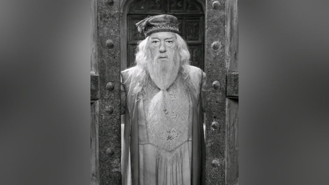 découvrez l'univers fascinant de dumbledore dans harry potter, le mentor sage et puissamment mystique qui guide harry au fil de ses aventures. plongez dans son histoire, ses secrets et son rôle crucial dans la lutte contre les forces du mal.