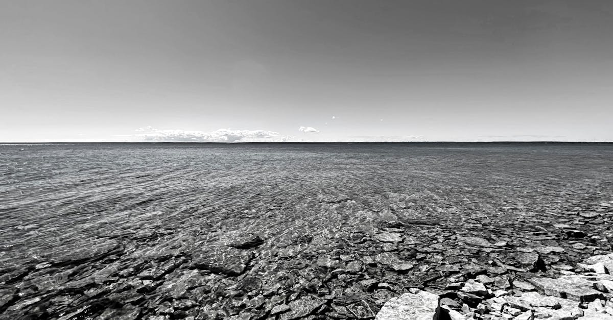 découvrez l'univers envoûtant des nymphes aquatiques, créatures mythologiques fascinantes qui habitent les rivières et les lacs. plongez dans les légendes et les histoires entourant ces êtres de l'eau, symboles de beauté et de mystère.