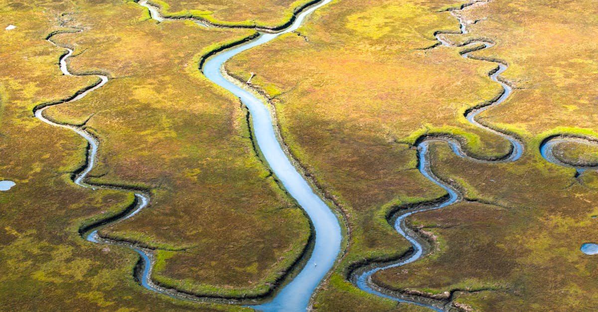 découvrez comment l'écologie influence la création d'univers fictifs fascinants avec notre guide sur l'ecological worldbuilding. apprenez à intégrer des principes durables et des interconnexions naturelles dans vos récits imaginaires pour susciter l'émerveillement et sensibiliser à l'importance de l'environnement.