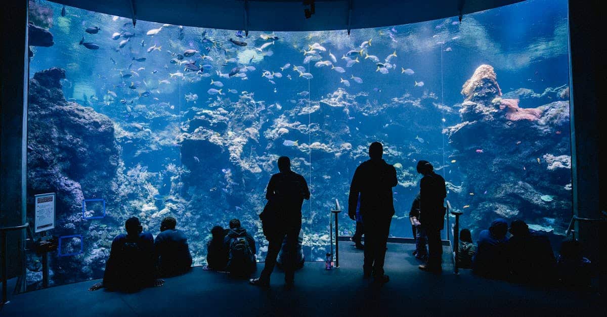 découvrez les merveilles cachées des profondeurs océaniques à travers l'exploration sous-marine. plongées fascinantes, biodiversité incroyable et technologies innovantes vous attendent dans ce voyage au cœur des océans.